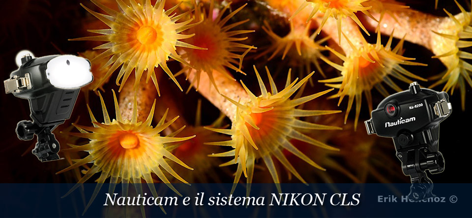 Nauticam e il sistema CLS Nikon