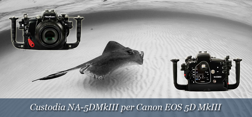 Custodia per Canon 5D MkIII