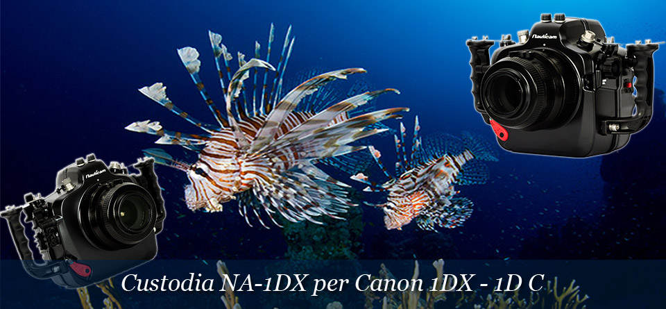 Custodia NA-1DX per Canon 1Dx – Canon 1D C