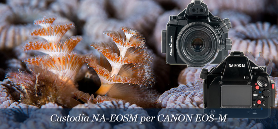 Custodia NA-EOSM per CANON EOS-M