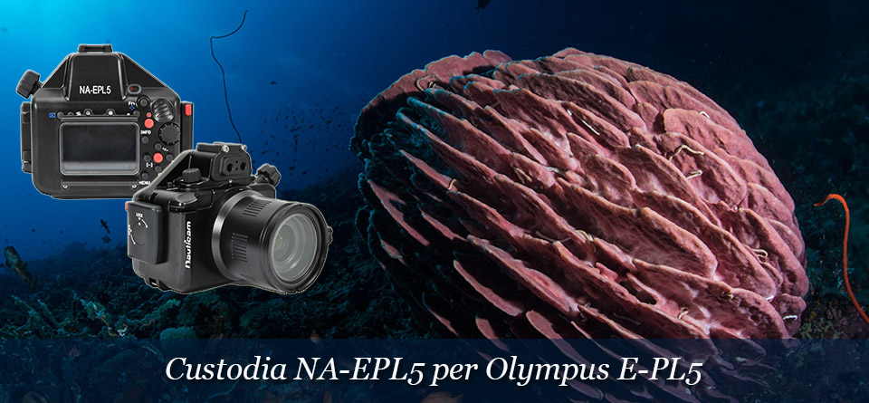 Custodia per Olympus E-PL5