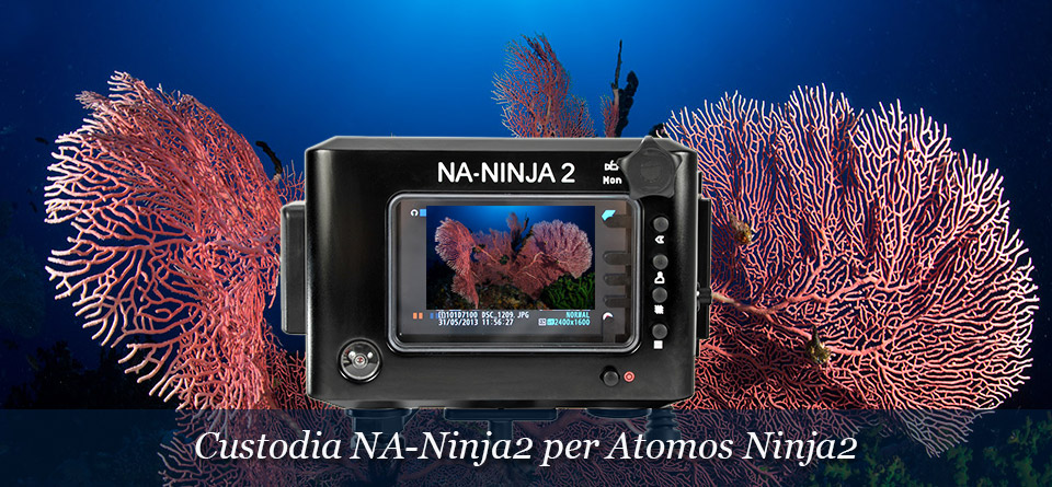 Custodia NA-NINJA2 per Atomos Ninja-2 HDMI Video Monitor