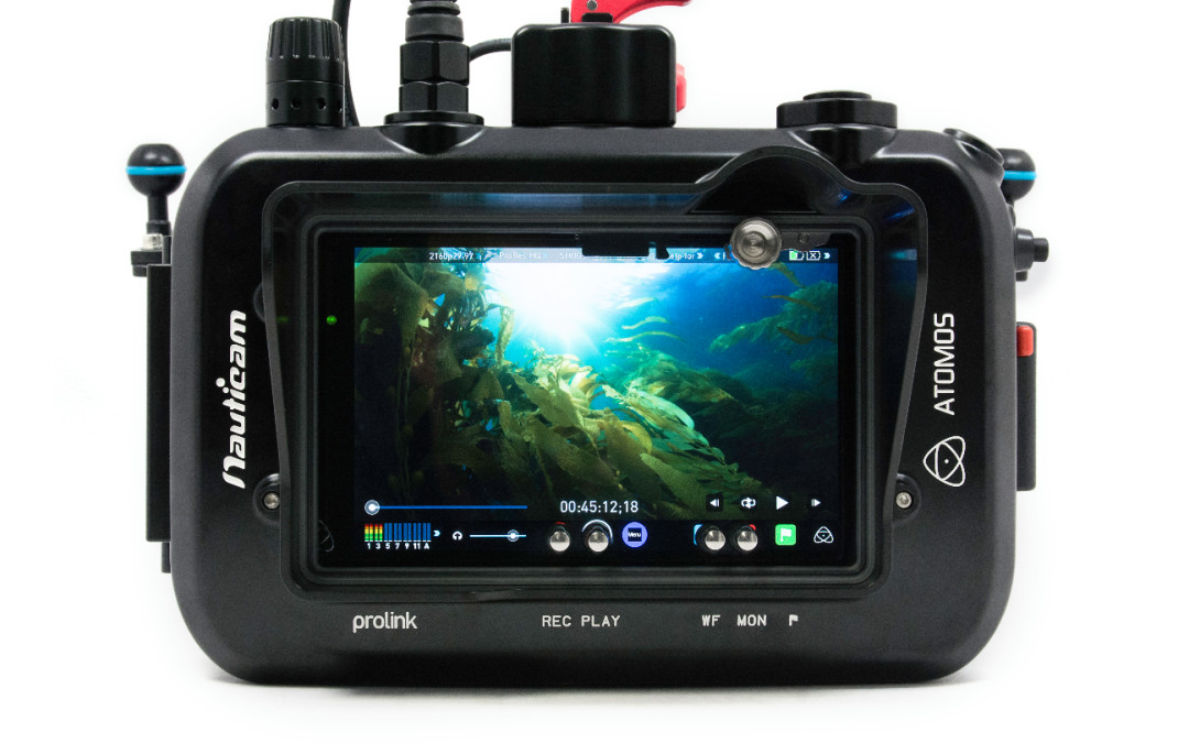 Custodia per Atomos Shogun