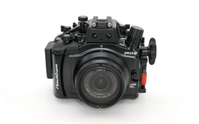CUSTODIA PER OLYMPUS OM-D E-M10 MARK III