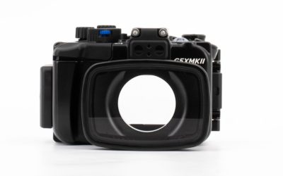 CUSTODIA PER CANON G5X MKII