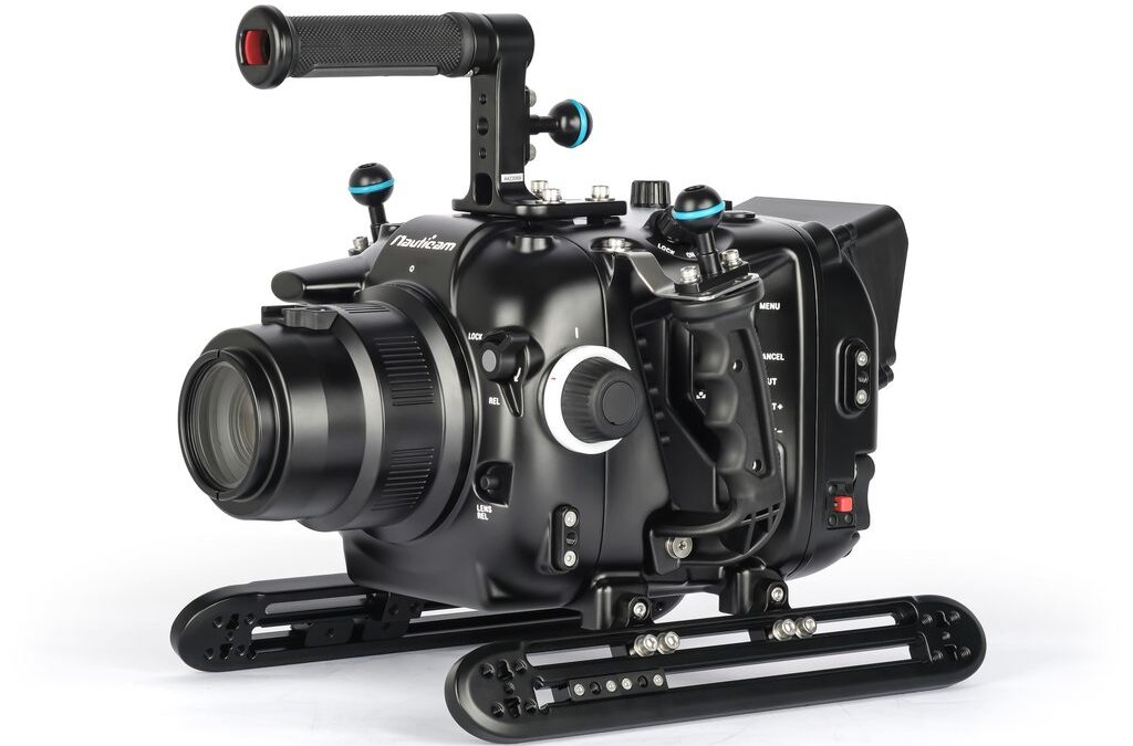 Custodia Video per CANON EOS C300III / C500II